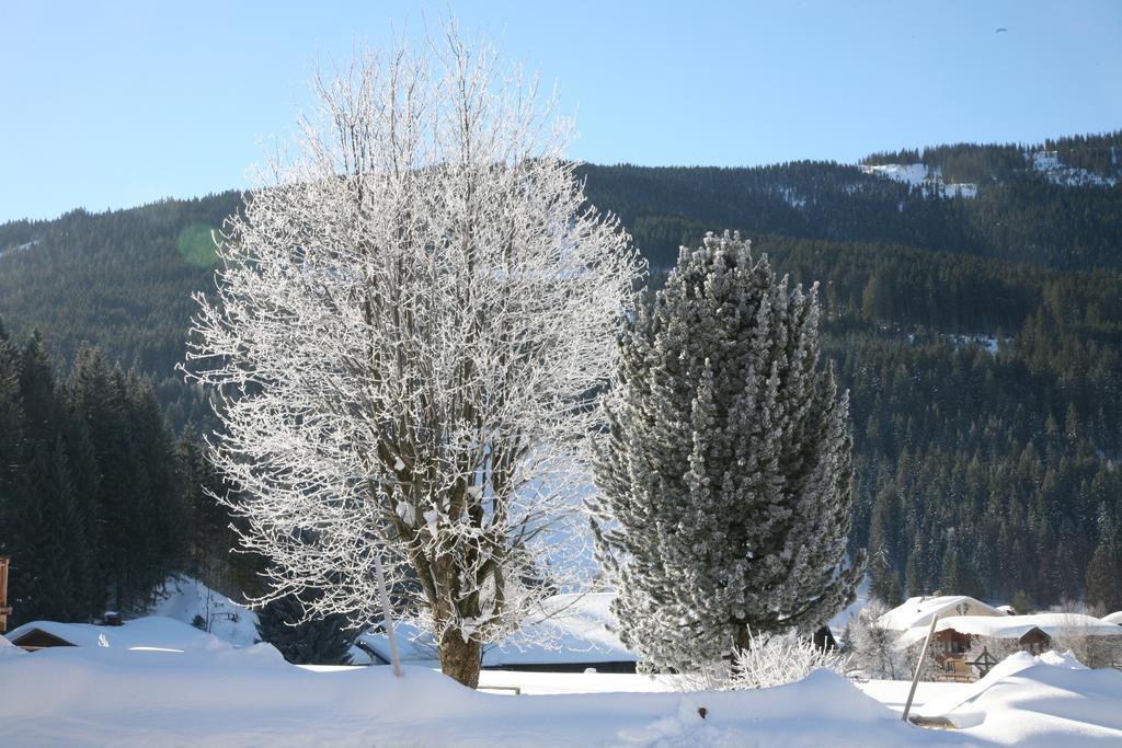شقة Zur Lieben Sonne فيلزموس الغرفة الصورة